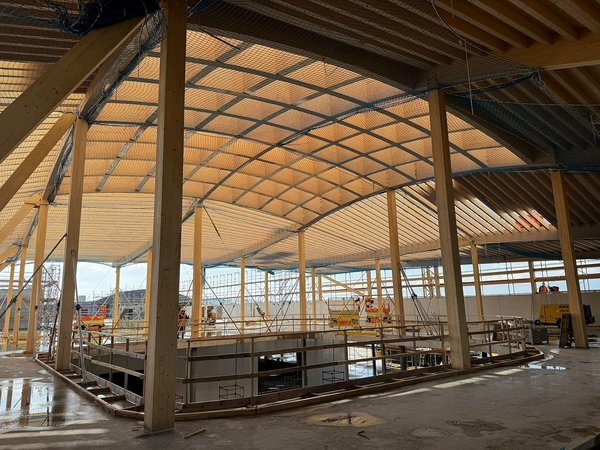 Neubau Blumenbörse Bern