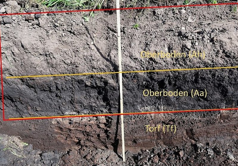 Landi Kerzers Bodenschutzkonzept