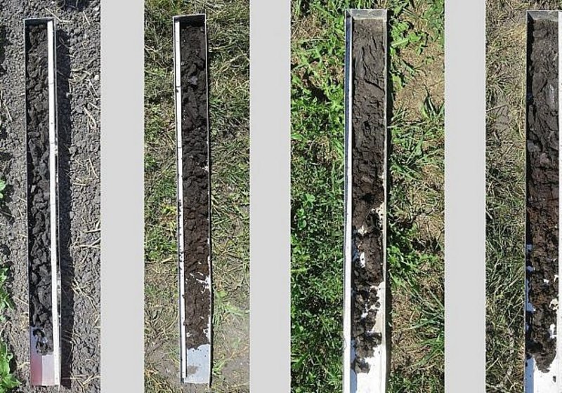 Vorstudie Sanierung Überdeckung Gasleitung Siselen/Walperswil