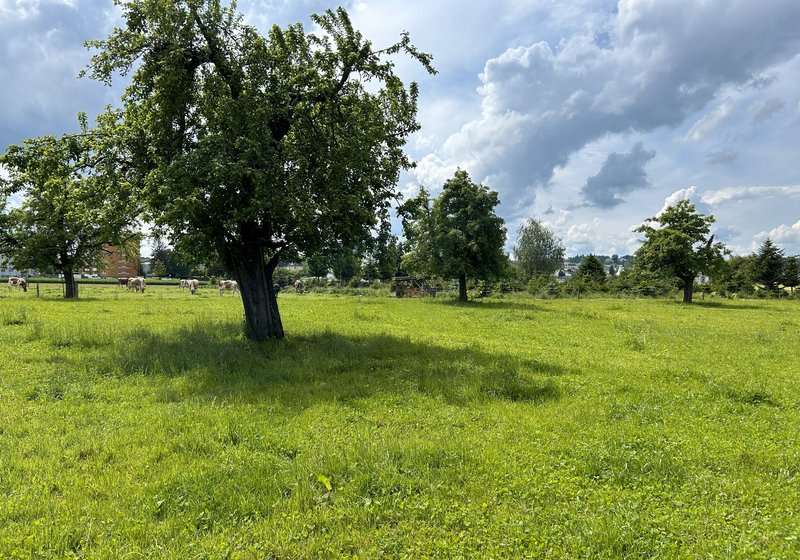 Vegetationskartierungen ALL-EMA (Monitoring der Arten- und Lebensräume Landwirtschaft)