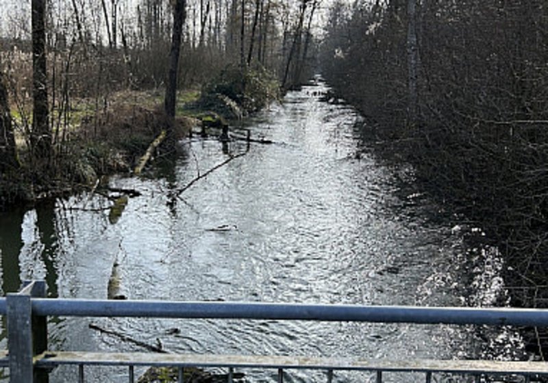 Umweltbericht alte Brücke Busswil BE